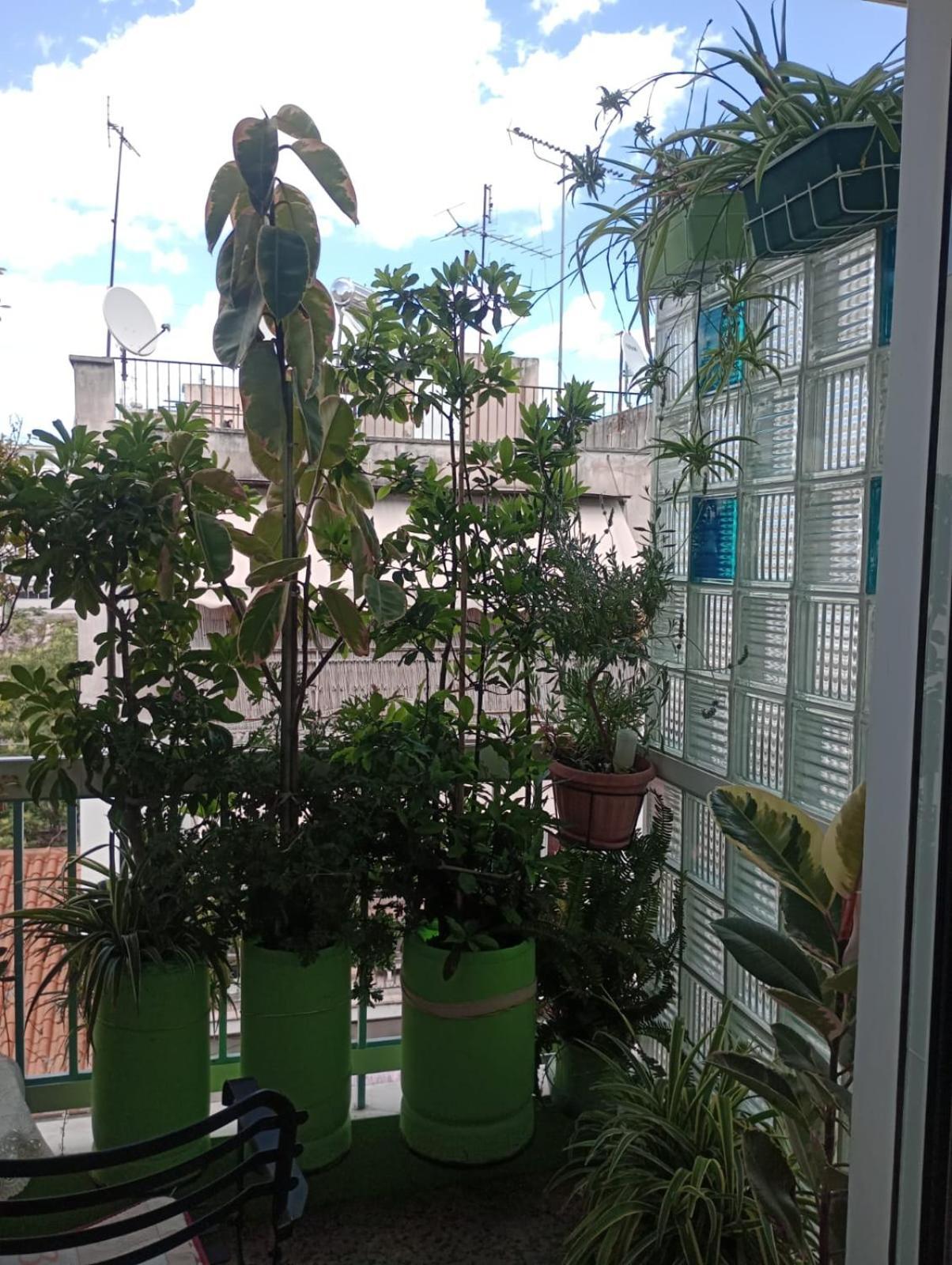 Neoclassical Apartament *