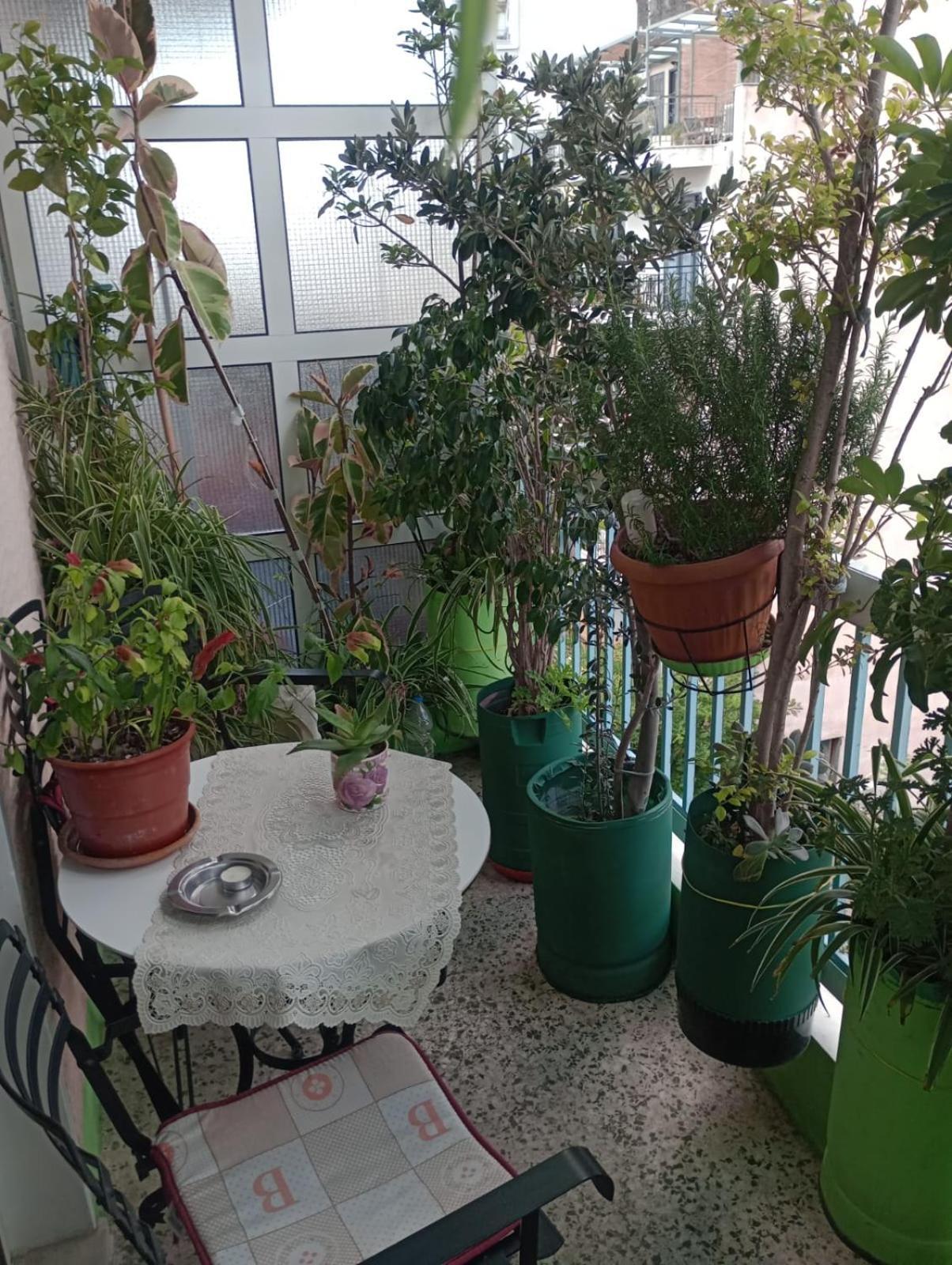 Apartament Neoclassical *